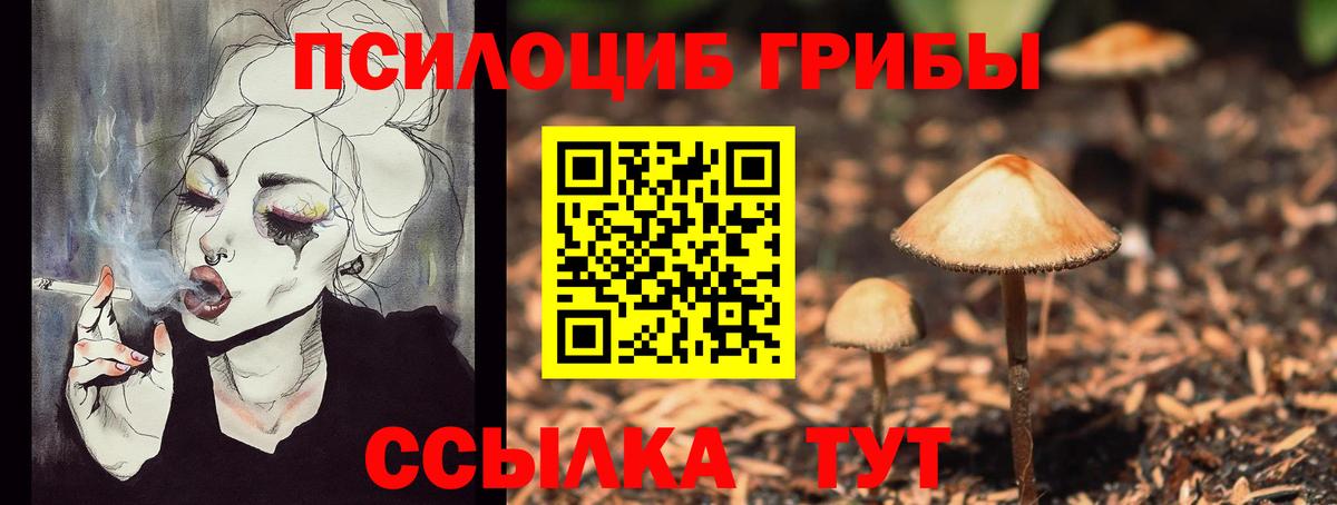 Галлюциногенные грибы Cubensis Алексин